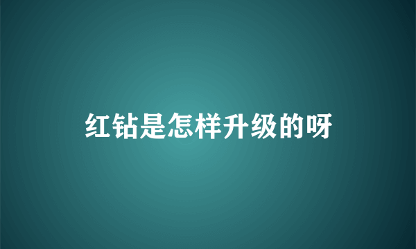 红钻是怎样升级的呀