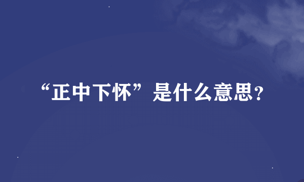 “正中下怀”是什么意思？