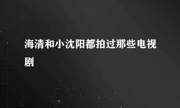 海清和小沈阳都拍过那些电视剧