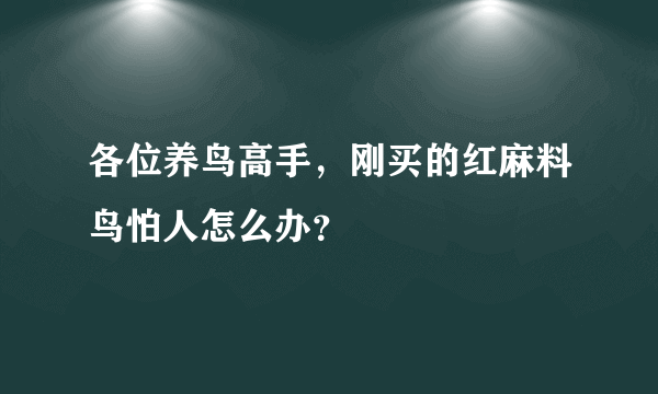 各位养鸟高手，刚买的红麻料鸟怕人怎么办？