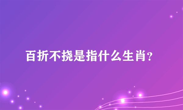 百折不挠是指什么生肖？