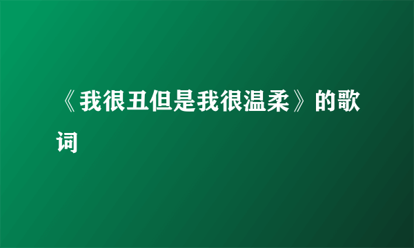 《我很丑但是我很温柔》的歌词