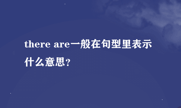 there are一般在句型里表示什么意思？