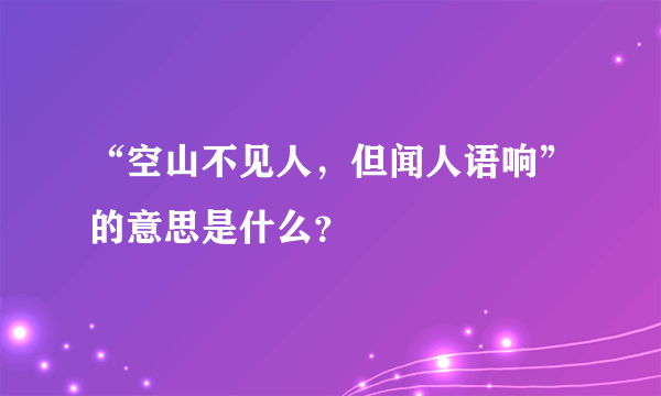 “空山不见人，但闻人语响”的意思是什么？