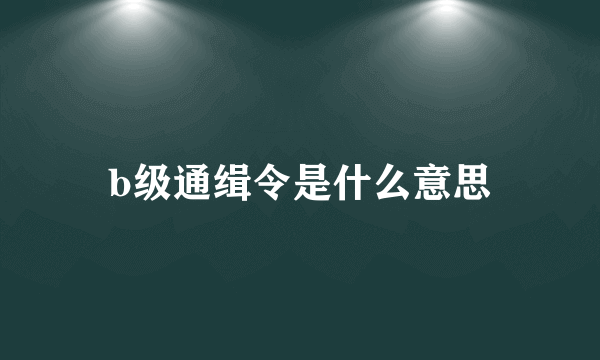 b级通缉令是什么意思