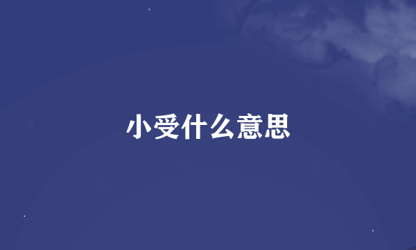 小受什么意思