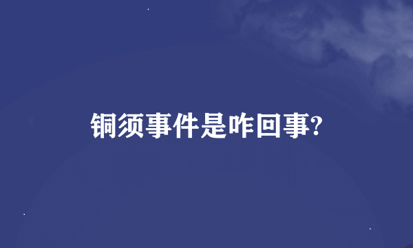 铜须事件是咋回事?