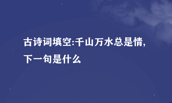 古诗词填空:千山万水总是情,下一句是什么