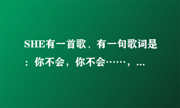 SHE有一首歌、有一句歌词是：你不会，你不会……，是什么歌