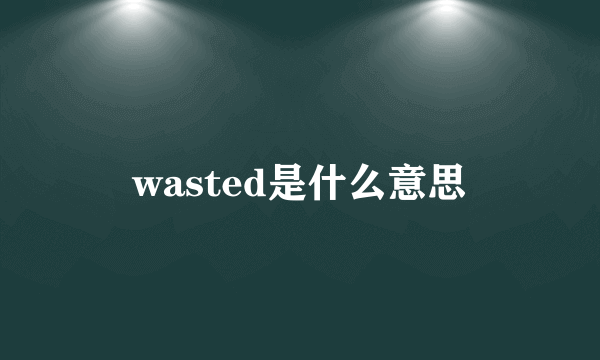 wasted是什么意思