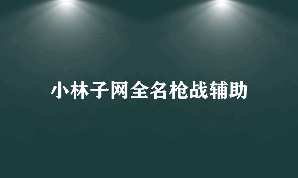 小林子网全名枪战辅助