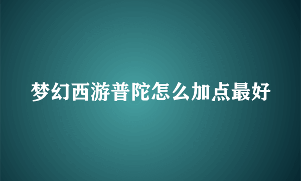 梦幻西游普陀怎么加点最好