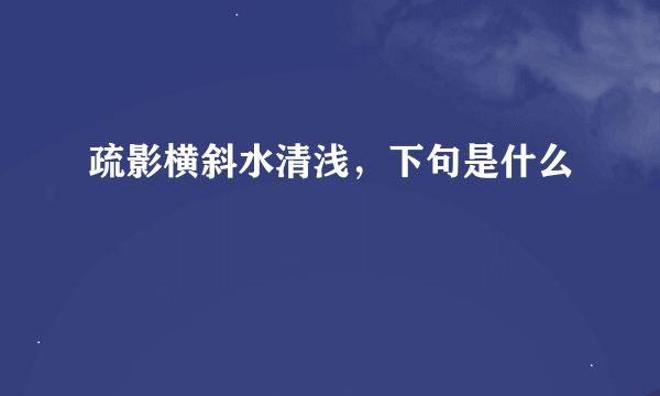 疏影横斜水清浅，下句是什么