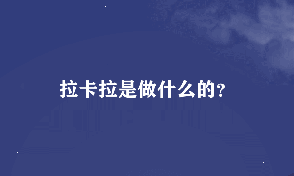 拉卡拉是做什么的？