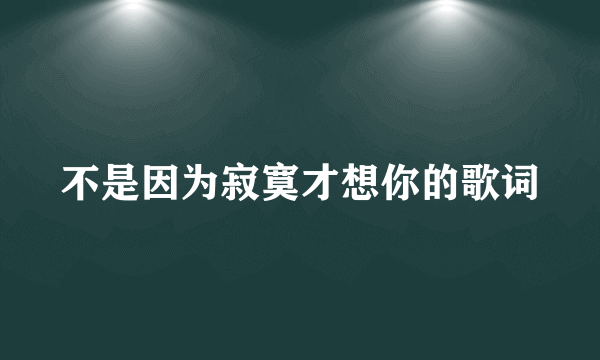 不是因为寂寞才想你的歌词