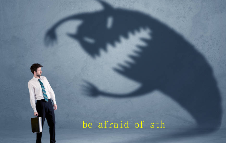 be afraid of sth.是什么意思