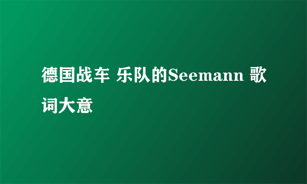 德国战车 乐队的Seemann 歌词大意