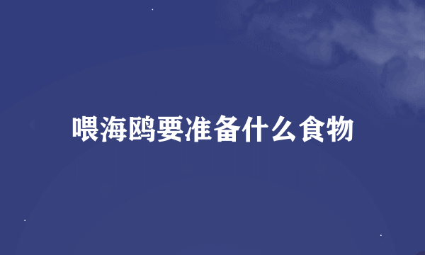 喂海鸥要准备什么食物