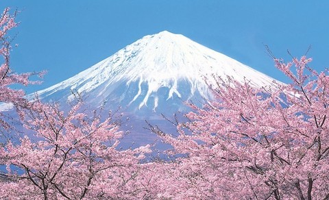 《富士山下》歌词粤语发音