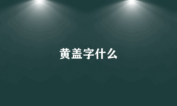 黄盖字什么