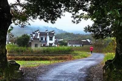 秋雨绵绵无绝期下一句是什么？