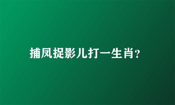 捕凤捉影儿打一生肖？