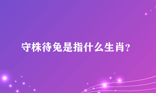 守株待兔是指什么生肖？