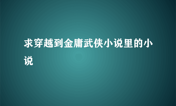 求穿越到金庸武侠小说里的小说