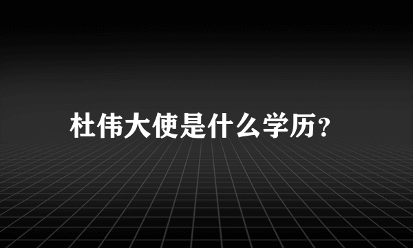 杜伟大使是什么学历？