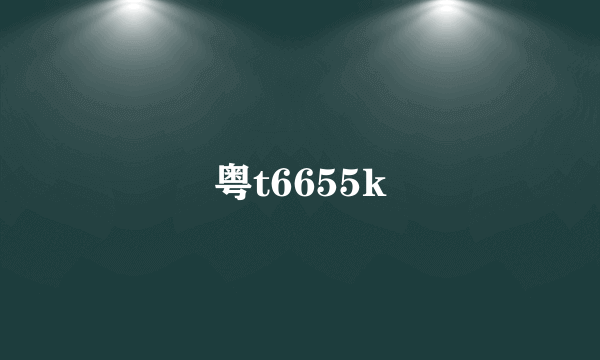 粤t6655k