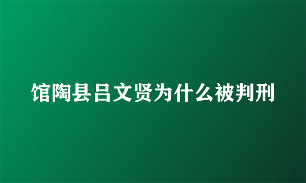 馆陶县吕文贤为什么被判刑