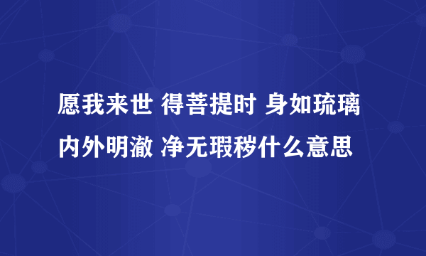 愿我来世 得菩提时 身如琉璃 内外明澈 净无瑕秽什么意思