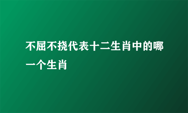 不屈不挠代表十二生肖中的哪一个生肖