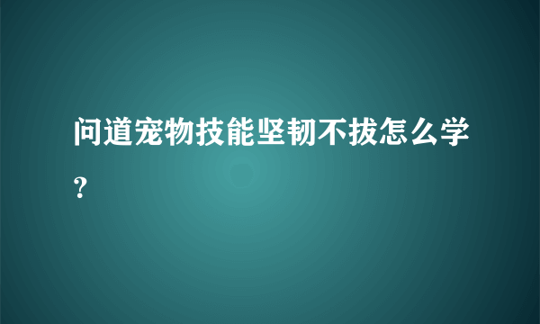 问道宠物技能坚韧不拔怎么学？