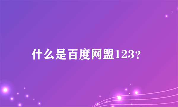 什么是百度网盟123？