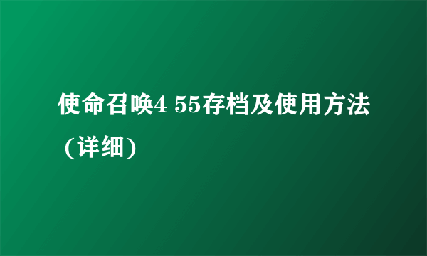 使命召唤4 55存档及使用方法 (详细)