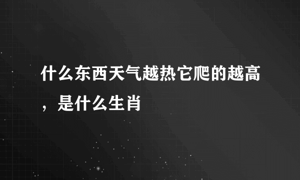 什么东西天气越热它爬的越高，是什么生肖