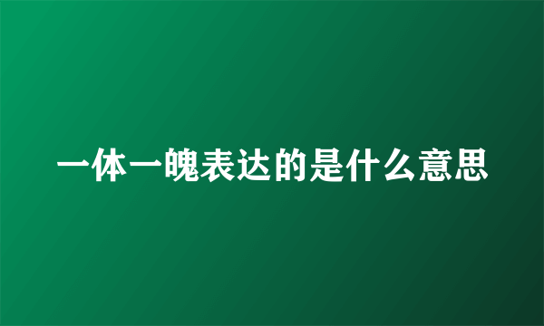 一体一魄表达的是什么意思