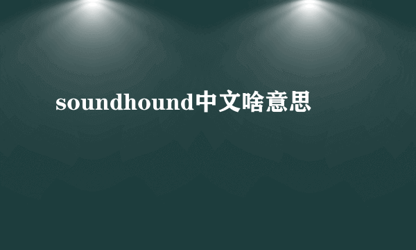 soundhound中文啥意思