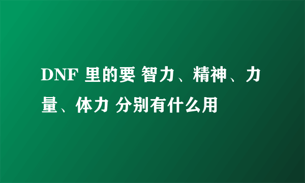 DNF 里的要 智力、精神、力量、体力 分别有什么用