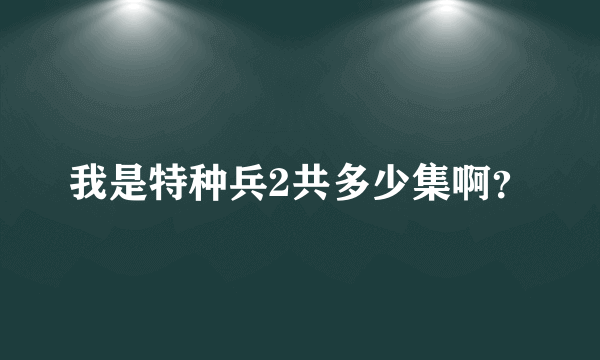 我是特种兵2共多少集啊？