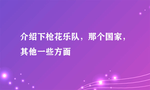 介绍下枪花乐队，那个国家，其他一些方面