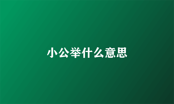 小公举什么意思