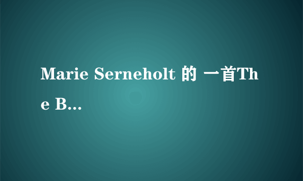 Marie Serneholt 的 一首The Boy I Used To Know  的歌词(中文)有吗?