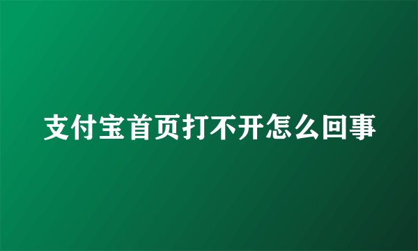 支付宝首页打不开怎么回事