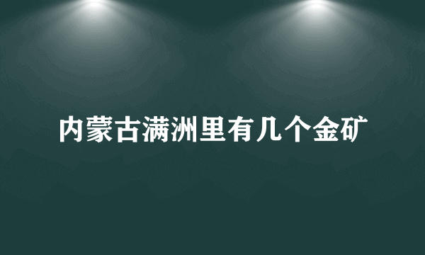 内蒙古满洲里有几个金矿