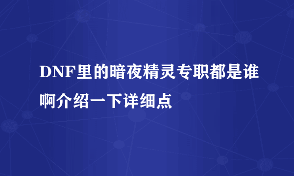 DNF里的暗夜精灵专职都是谁啊介绍一下详细点