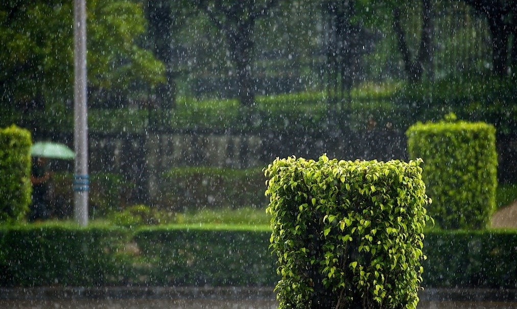 为什么很多人在下雨天会睡的更香？