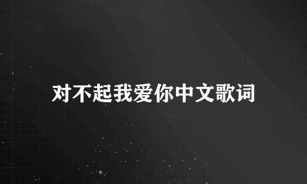 对不起我爱你中文歌词