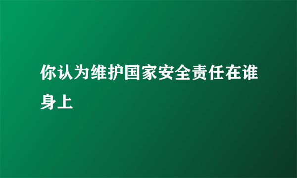 你认为维护国家安全责任在谁身上